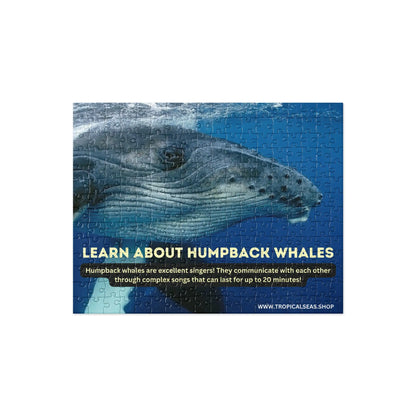 Humpback Whales Fun Fact Puzzle – Educational Family Jigsaw (252 or 520 Pieces)